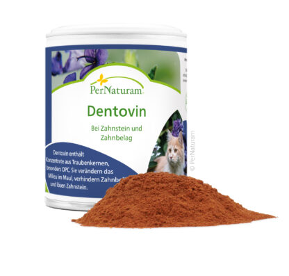 Dentovin